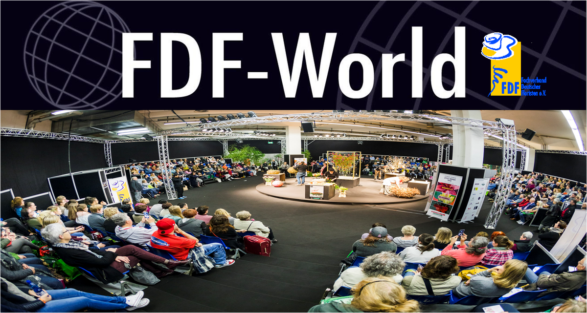 FDF World