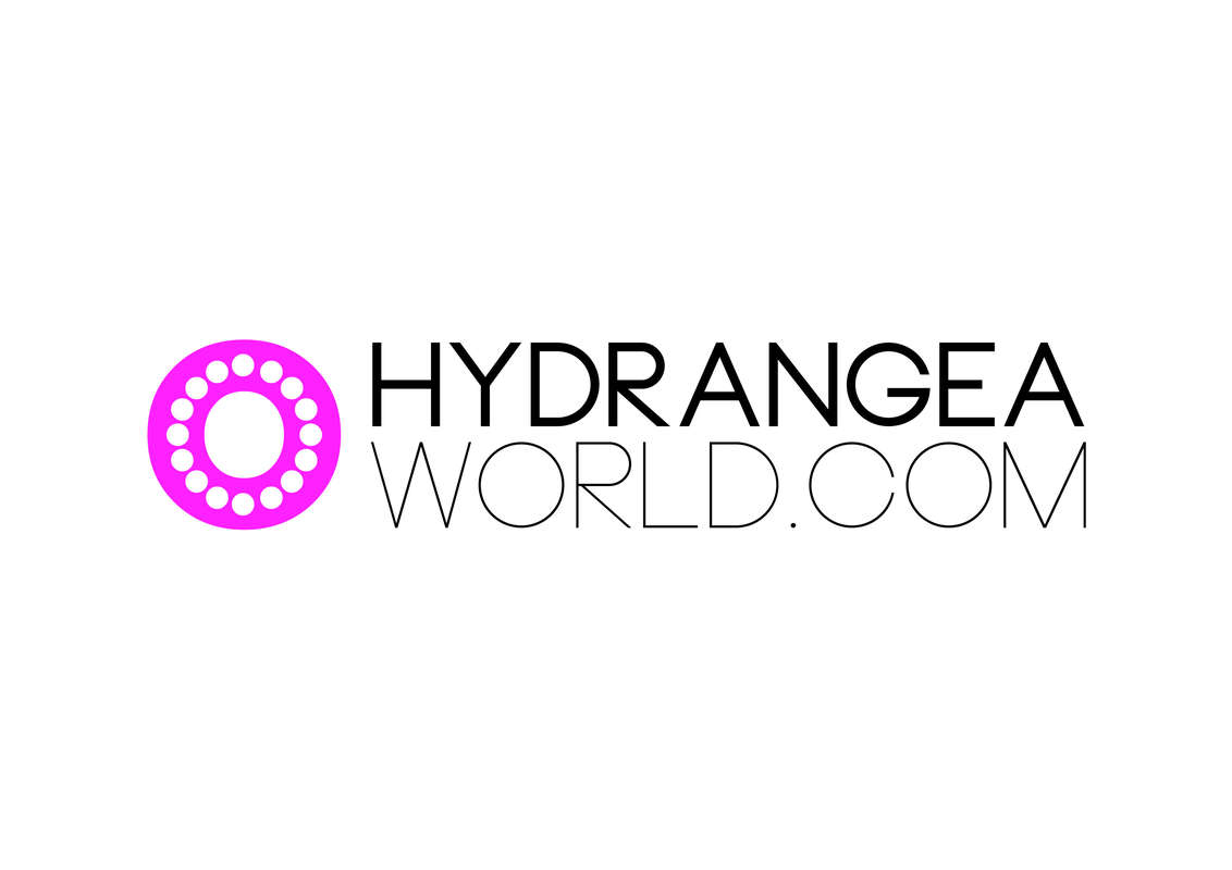 logo Hydrangea